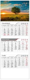 Opakowanie Kalendarz 2024 Trójdzielny Polne Drzewo