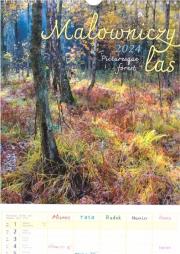 Kalendarz 2024 wieloplanszowy - Malowniczy las. Wydawca: Parma Press. Dadada.pl Opakowanie Kalendarz 2024 wieloplanszowy - Malowniczy las