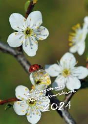 Opakowanie Kalendarz 2024 z ks. Twardowskim - biedronka