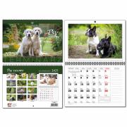 Opakowanie Kalendarz 2025 A4 terminarz 13 plansz Psy rasowe