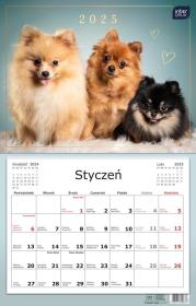 Opakowanie Kalendarz 2025 jednodzielny 32x50cm Psy