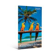 Kalendarz 2025 kiesoznkowy Maxi MIX. Wydawca: Kalpol. Dadada.pl Opakowanie Kalendarz 2025 kiesoznkowy Maxi MIX