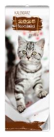 Opakowanie Kalendarz 2025 Kociaki premium ścienny