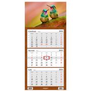 Opakowanie Kalendarz 2025 LUX Trójdzielny Kolibry