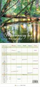 Kalendarz 2025 Malowniczy las. Wydawca: Parma Press. Dadada.pl Opakowanie Kalendarz 2025 Malowniczy las