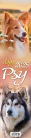 Kalendarz 2025 paskowy - Psy. Wydawca: Parma Press. Dadada.pl Opakowanie Kalendarz 2025 paskowy - Psy
