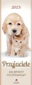 Opakowanie Kalendarz 2025 pocztówkowy Przyjaciele biały