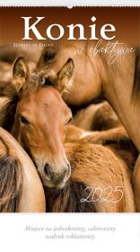 Kalendarz 2025 Reklamowy Konie w obiektywie. Autor: x. Dadada.pl Okładka książki Kalendarz 2025 Reklamowy Konie w obiektywie
