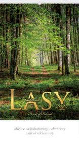 Kalendarz 2025 Reklamowy Lasy polskie. Autor: x. Dadada.pl Okładka książki Kalendarz 2025 Reklamowy Lasy polskie