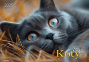 Opakowanie Kalendarz 2025 ścienny albumowy Koty
