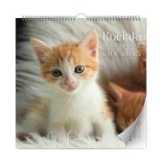 Kalendarz 2025 ścienny Kociaki LUX. Wydawca: Kalpol. Dadada.pl Opakowanie Kalendarz 2025 ścienny Kociaki LUX