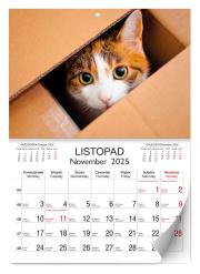 Kalendarz 2025 ścienny Lux Koty. Wydawca: Kalpol. Dadada.pl Opakowanie Kalendarz 2025 ścienny Lux Koty