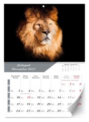 Kalendarz 2025 ścienny Lux Zwierzęta. Wydawca: Kalpol. Dadada.pl Opakowanie Kalendarz 2025 ścienny Lux Zwierzęta