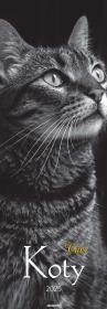 Opakowanie Kalendarz 2025 ścienny paskowy Koty