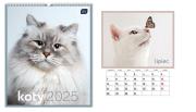 Opakowanie Kalendarz 2025 ścienny planszowy 33,5x40cm Koty