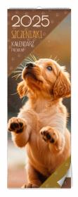 Opakowanie Kalendarz 2025 Szczeniaki premium ścienny