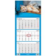 Opakowanie Kalendarz 2025 Trójdzielny Kot