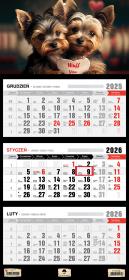 Okładka książki Kalendarz 2025 Trójdzielny płaska główka Pieski