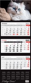 Okładka książki Kalendarz 2025 Trójdzielny Premium Kot