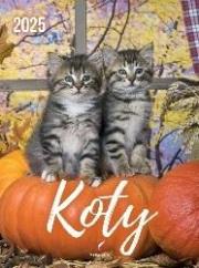 Opakowanie Kalendarz 2025 wieloplanszowy B4 Koty