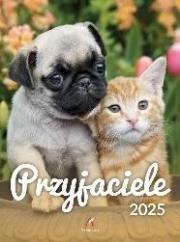 Opakowanie Kalendarz 2025 wieloplanszowy B4 Przyjaciele