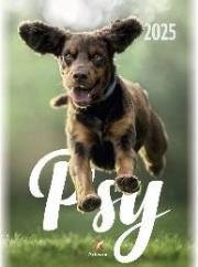Opakowanie Kalendarz 2025 wieloplanszowy B4 Psy