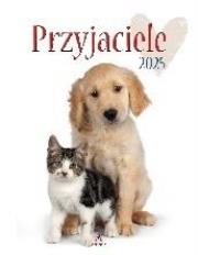 Opakowanie Kalendarz 2025 wieloplanszowy Przyjaciele biały