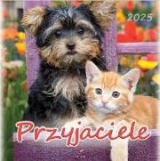 Opakowanie Kalendarz 2025 wieloplanszowy Przyjaciele