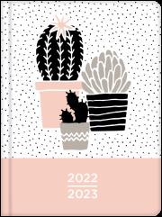 Opakowanie Kalendarz książkowy 18M 2022/2023 Kaktusy ALBI