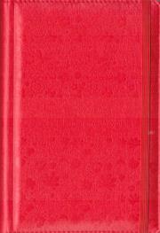 Opakowanie Kalendarz nauczyciela 2022/2023 czerwony WYPIÓR