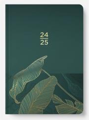 Kalendarz tygodniowy 18MC 2024/2025 Zielony ALBI. Wydawca: Albi. Dadada.pl Opakowanie Kalendarz tygodniowy 18MC 2024/2025 Zielony ALBI