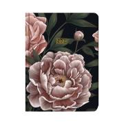 Kalendarz tygodniowy 2024 B6 Piwonie ALBI. Wydawca: Albi. Dadada.pl Opakowanie Kalendarz tygodniowy 2024 B6 Piwonie ALBI