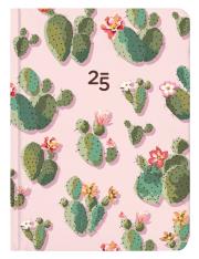 Kalendarz tygodniowy B6 Kaktusy ALBI. Wydawca: Albi. Dadada.pl Opakowanie Kalendarz tygodniowy B6 Kaktusy ALBI