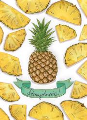 Opakowanie Karnet B6 Ananasy