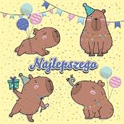 Karnet KW Kapibary. Wydawca: Henry. Dadada.pl Opakowanie Karnet KW Kapibary