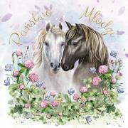 Opakowanie Karnet KW ślub konie