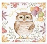 Opakowanie Karnet KW Sówka