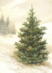 Opakowanie Karnet ST456 B6 + koperta Świerk