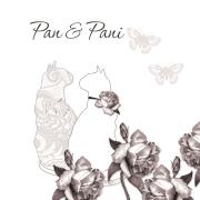 Opakowanie Karnet Swarovski kwadrat Koty i motyle