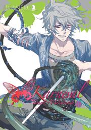 Okładka książki Karneval. Tom 11