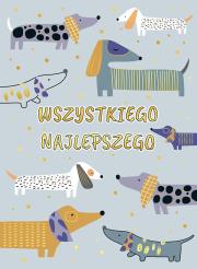 Opakowanie Karnret B6 Szare Psy