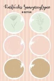 Opakowanie Karteczki memo kółka 6szt