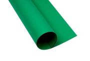 Karton kolorowy B1 225g ciemnozielony (25szt). Wydawca: Oxford. Dadada.pl Opakowanie Karton kolorowy B1 225g ciemnozielony (25szt)