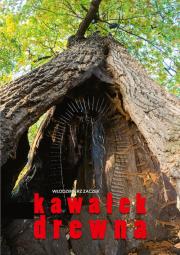 Okładka książki Kawałek drewna