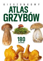 Kieszonkowy atlas grzybów. 180 gatunków. Autor: Patrycja Zarawska, Kamiński Wiesław. Dadada.pl Okładka książki Kieszonkowy atlas grzybów. 180 gatunków