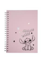 Opakowanie Kołobrulion B5 Disney 100 okładka tekturowa wzór 2