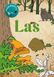 Kolorowanka Las. Autor: Katarzyna Kopiec-Sekieta. Dadada.pl Okładka książki Kolorowanka Las