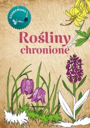 Kolorowanka Rośliny chronione. Autor: Katarzyna Kopiec-Sekieta. Dadada.pl Okładka książki Kolorowanka Rośliny chronione
