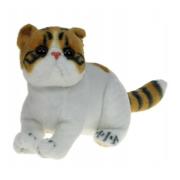 Opakowanie Kot exotic jasny brązowy 26cm