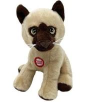 Opakowanie Kot Leoś 15cm